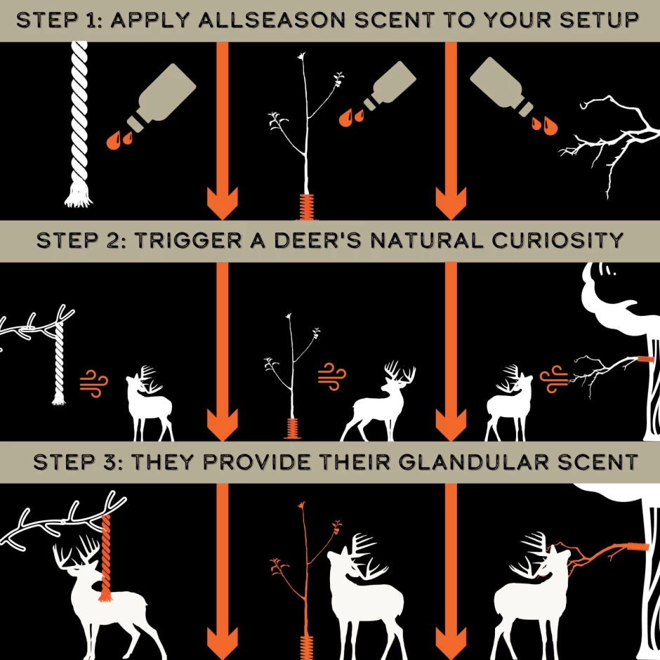 AllSeason_Scent_How_it_works