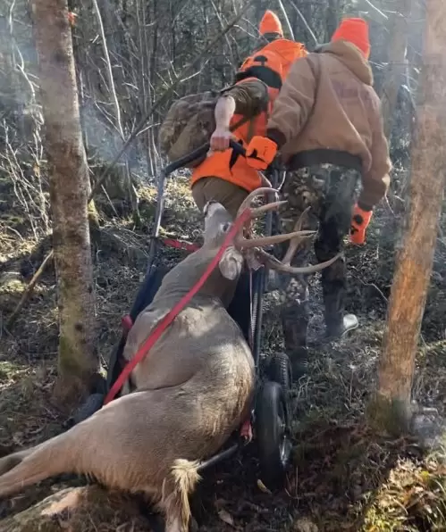deer hunting northern wi