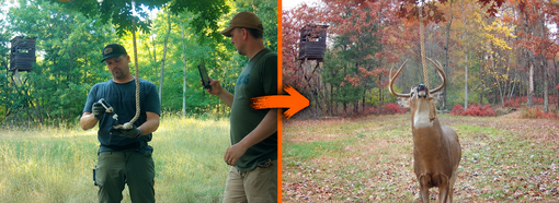 Set Up Your Mock Scrapes and Scent Hubs Now — Before The Rut Kicks In
