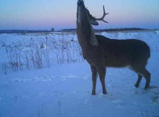 Late Season Success With HODAG Systems