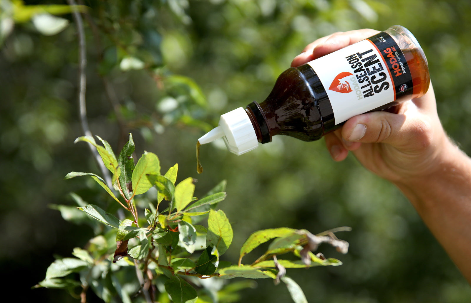 Why is HODAG AllSeason Scent the Best Mock Scrape Scent?