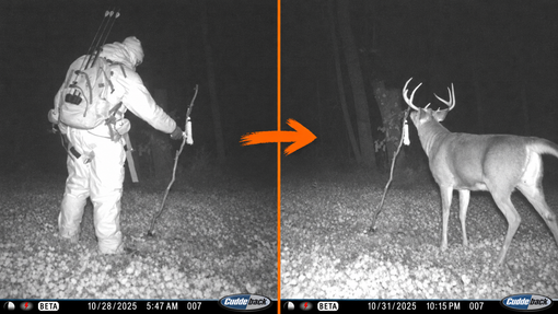 When To Re-Scent Your Mock Scrape (And When To Let The Deer Do It)