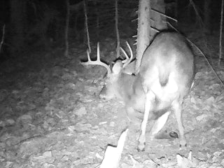 DonnyKirchnerJr