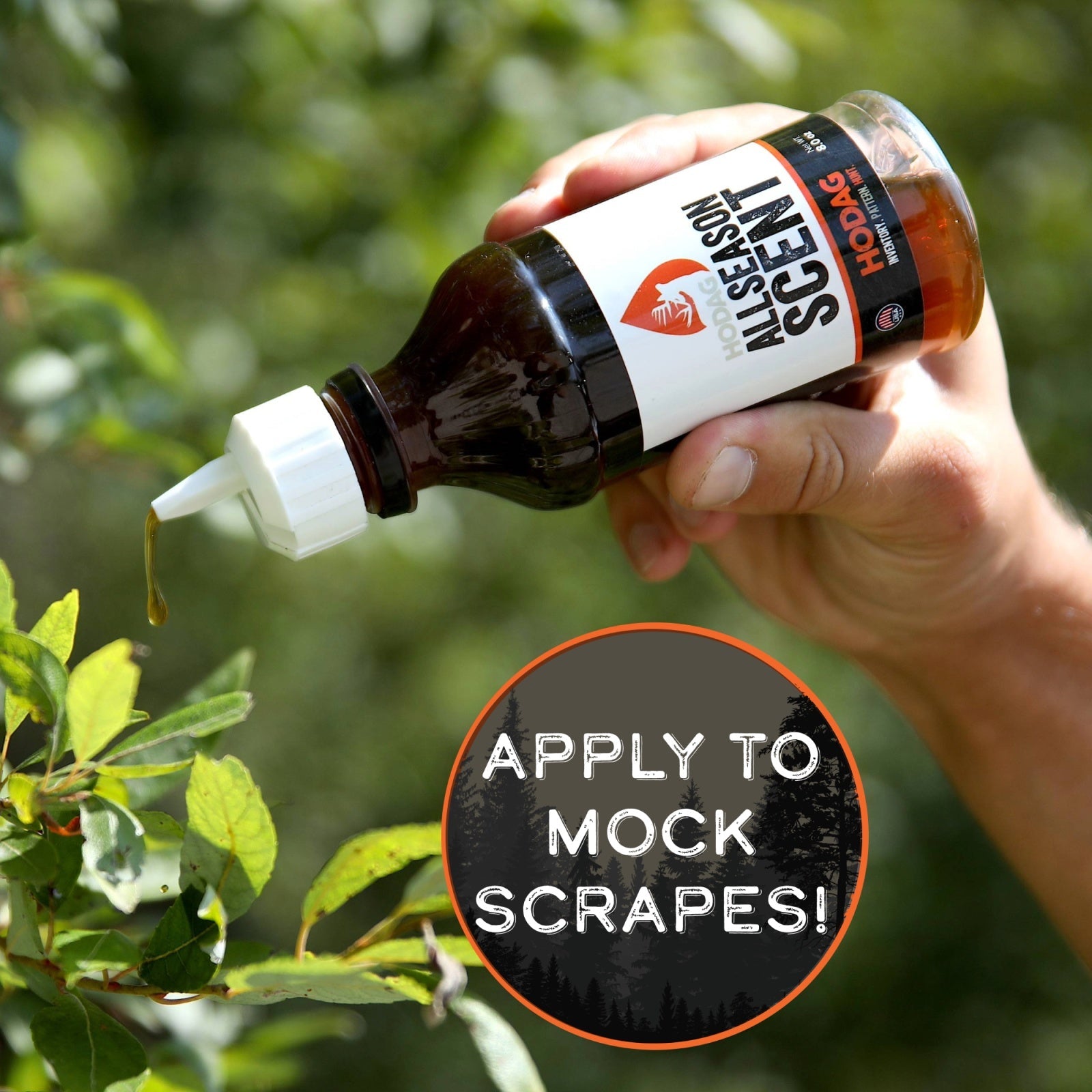 AllSeason Scent™ 6-Pack
