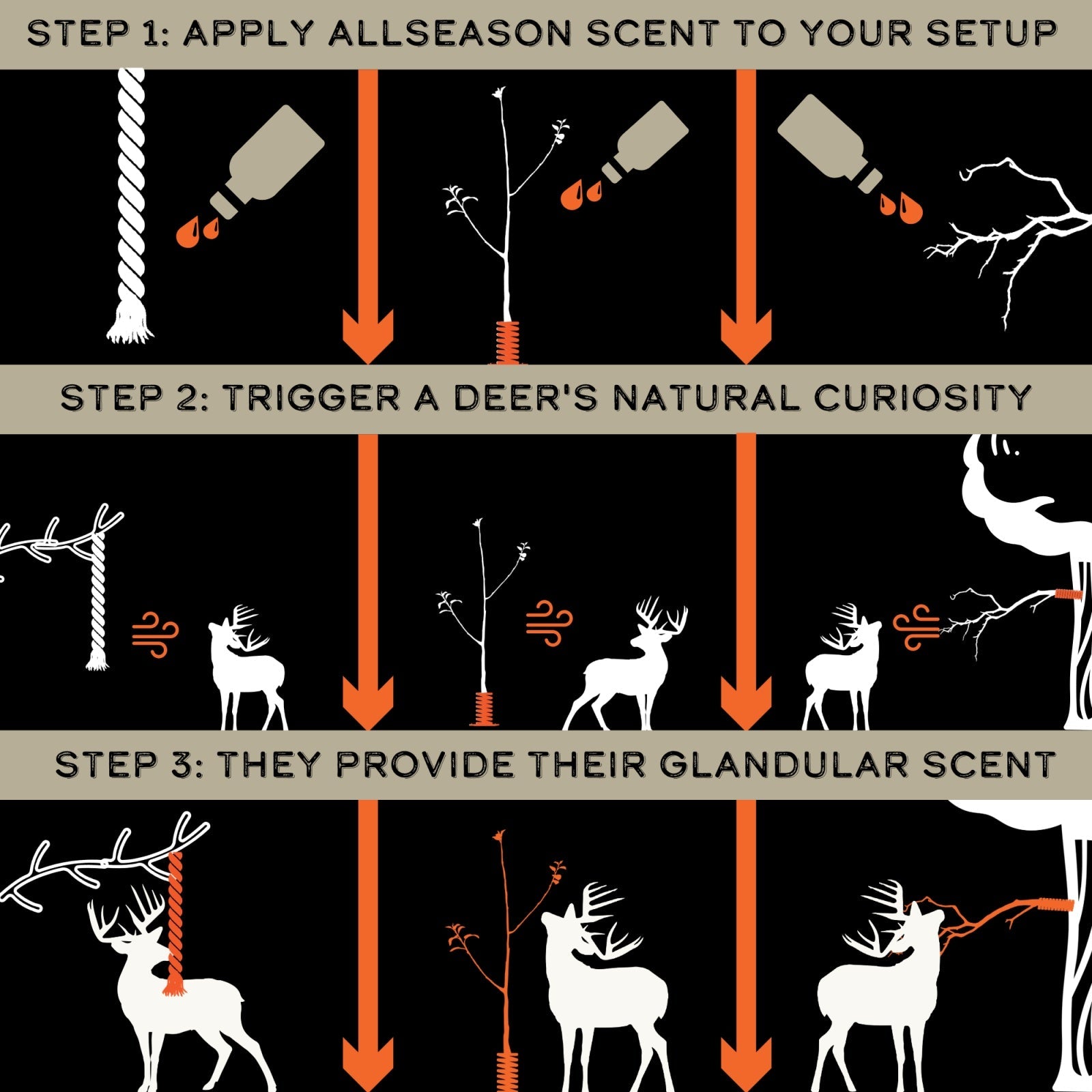 AllSeason Scent™ 6-Pack
