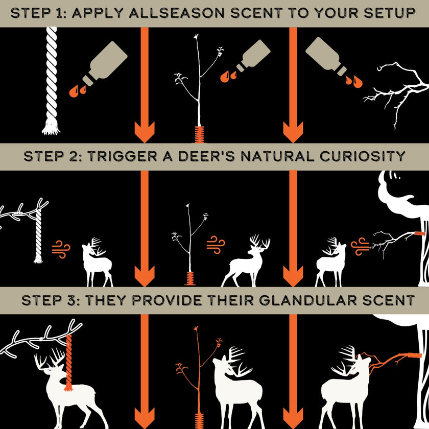 AllSeason Scent™ 6-Pack