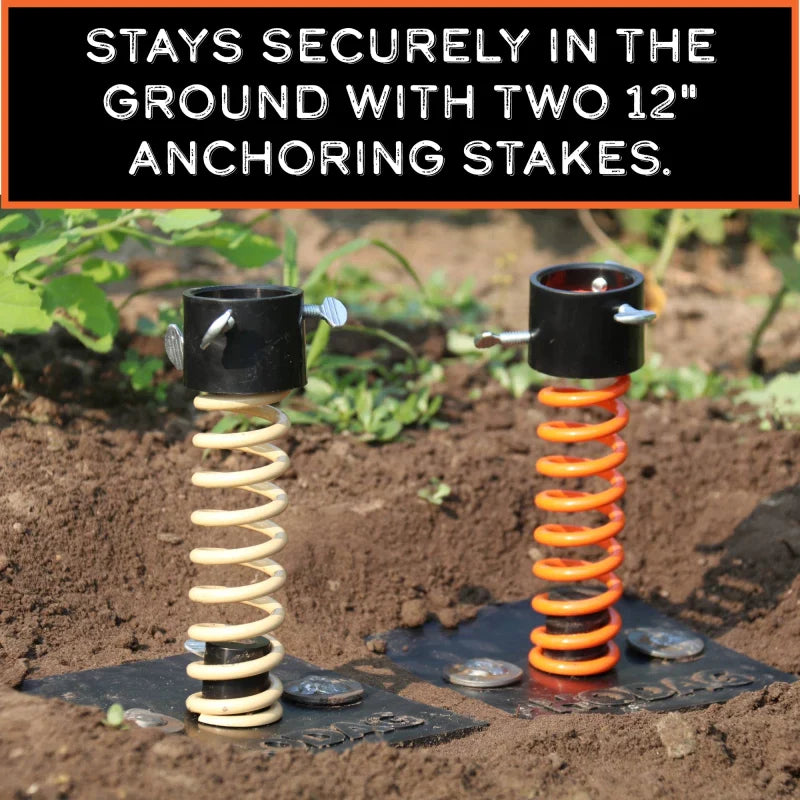 Licking Stick System