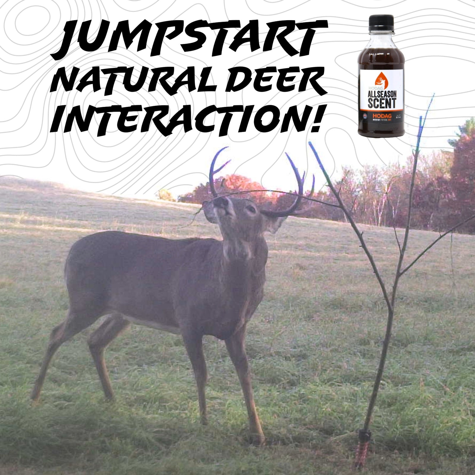 AllSeason Scent™