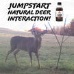 AllSeason Scent™
