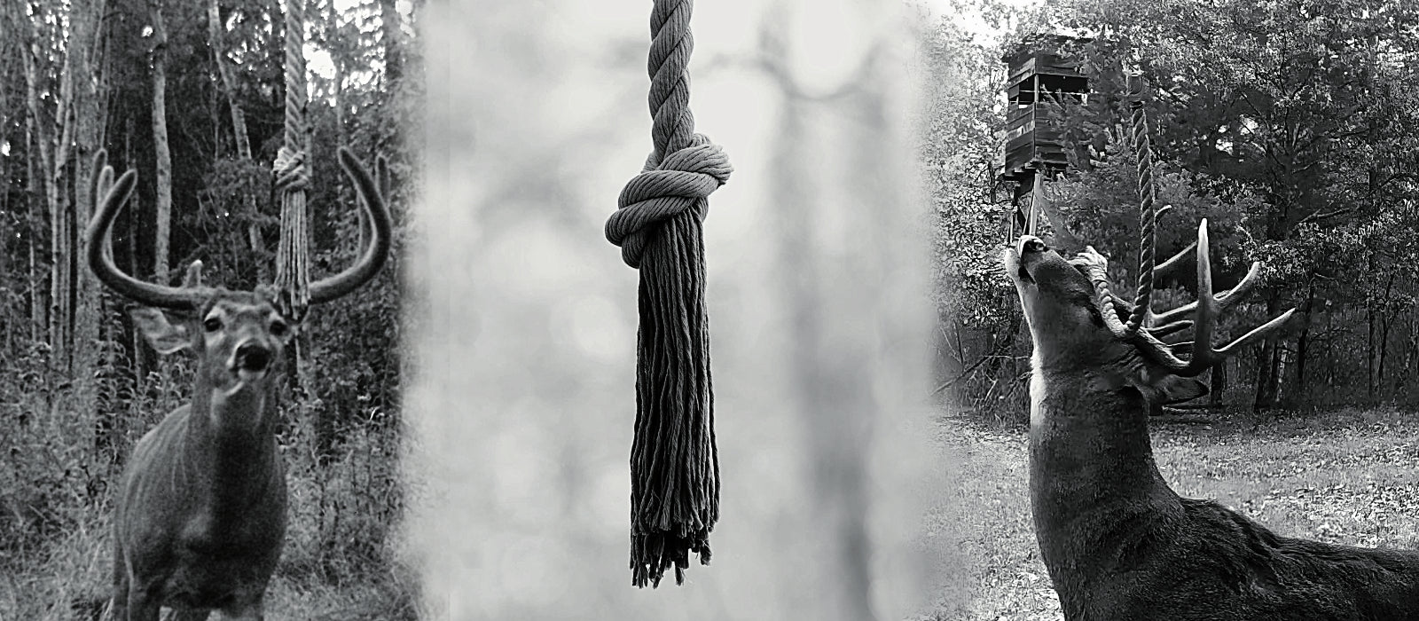 How To Use The hodag hempscent rope