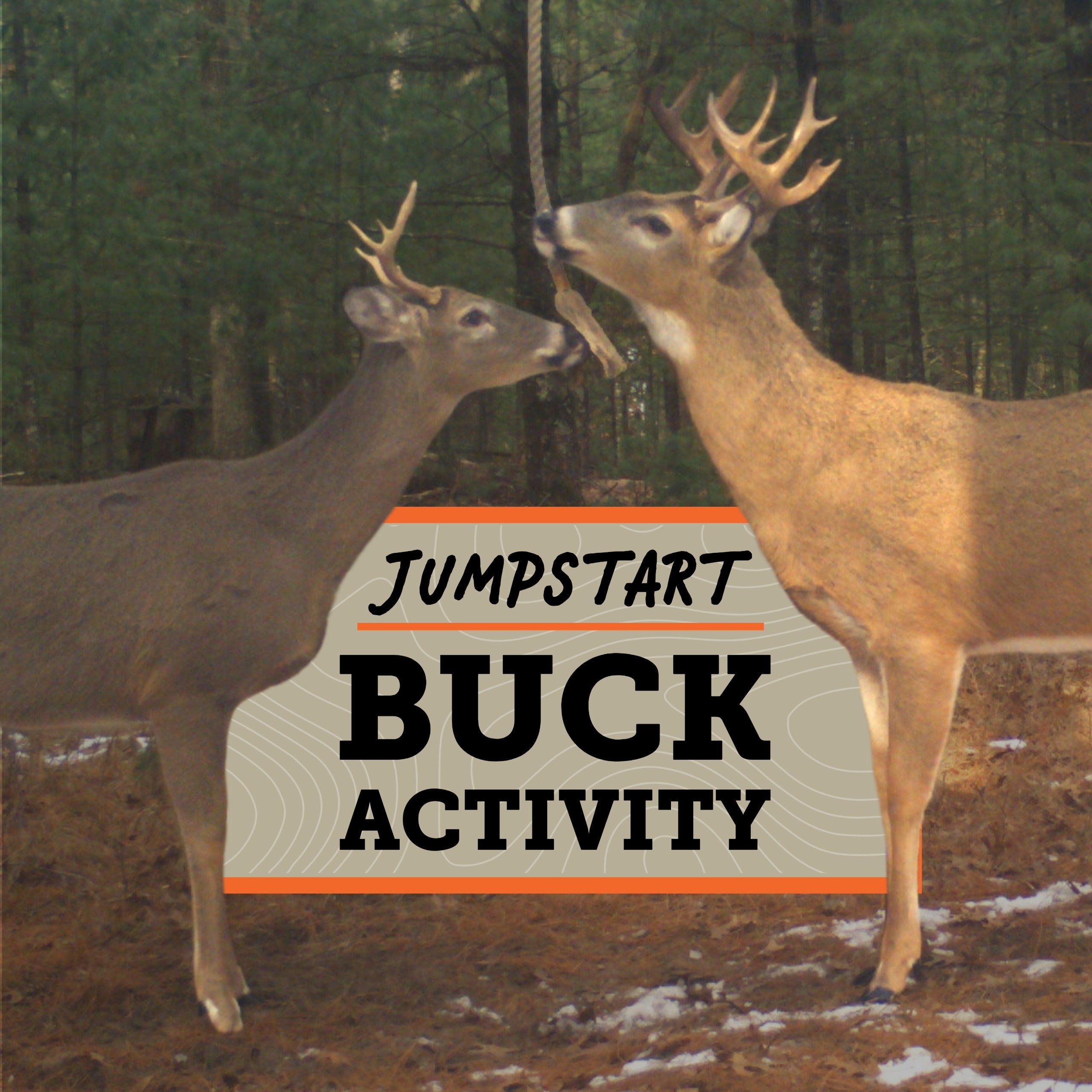 HODAG Sweet November Rut Scent