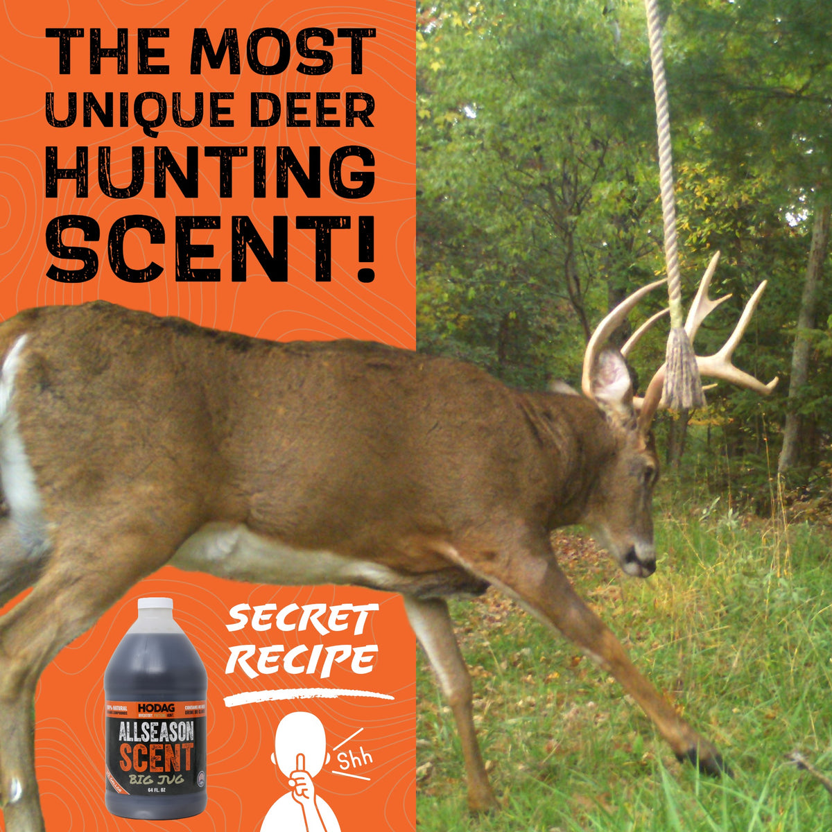 AllSeason Scent 64 oz Big Jug