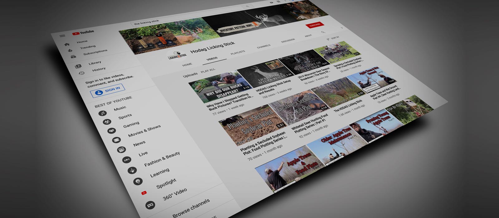 BLOG ARTICLES