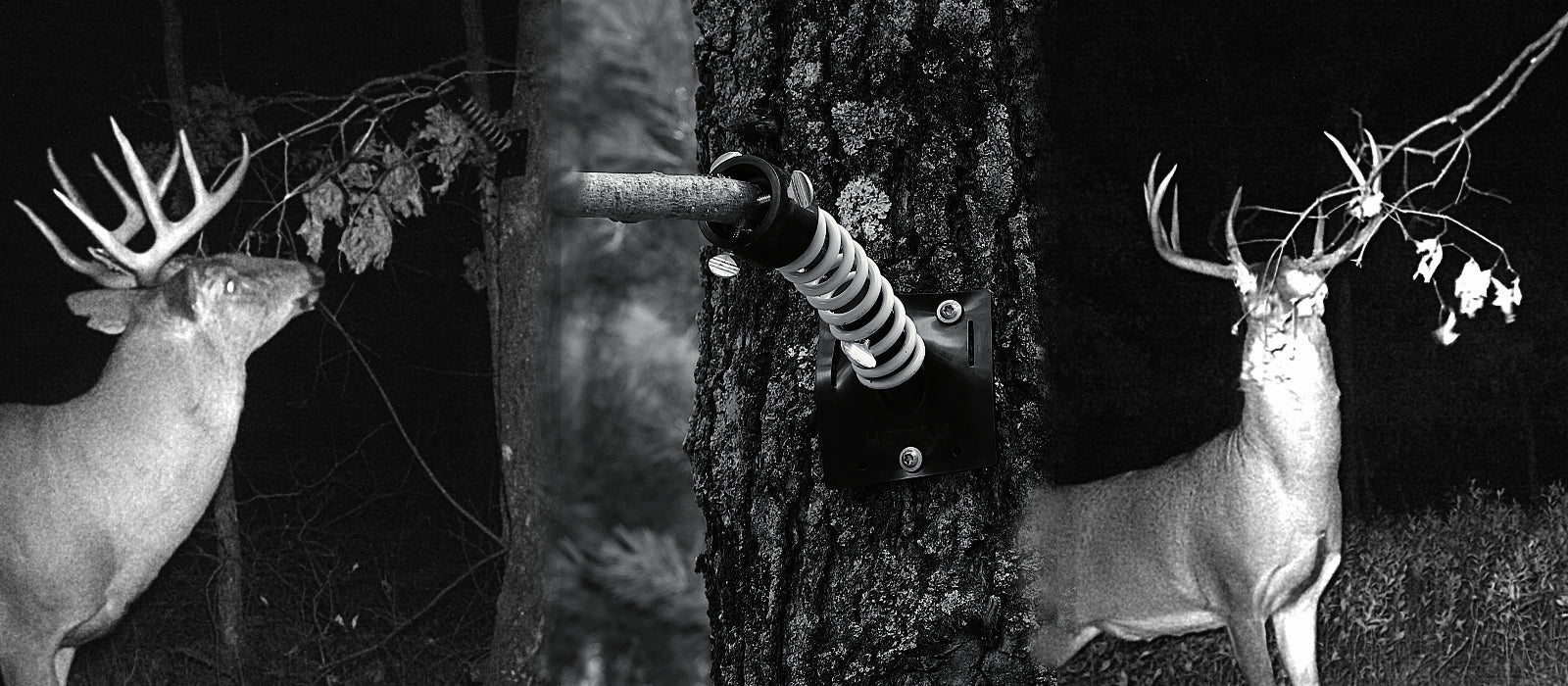 How To Use The Licking Branch