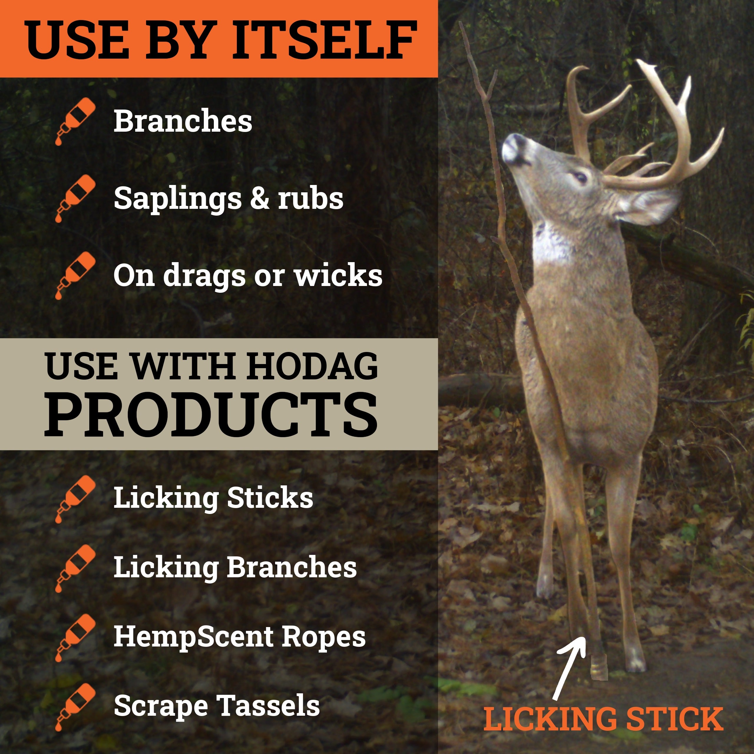 HODAG Sweet November Rut Scent