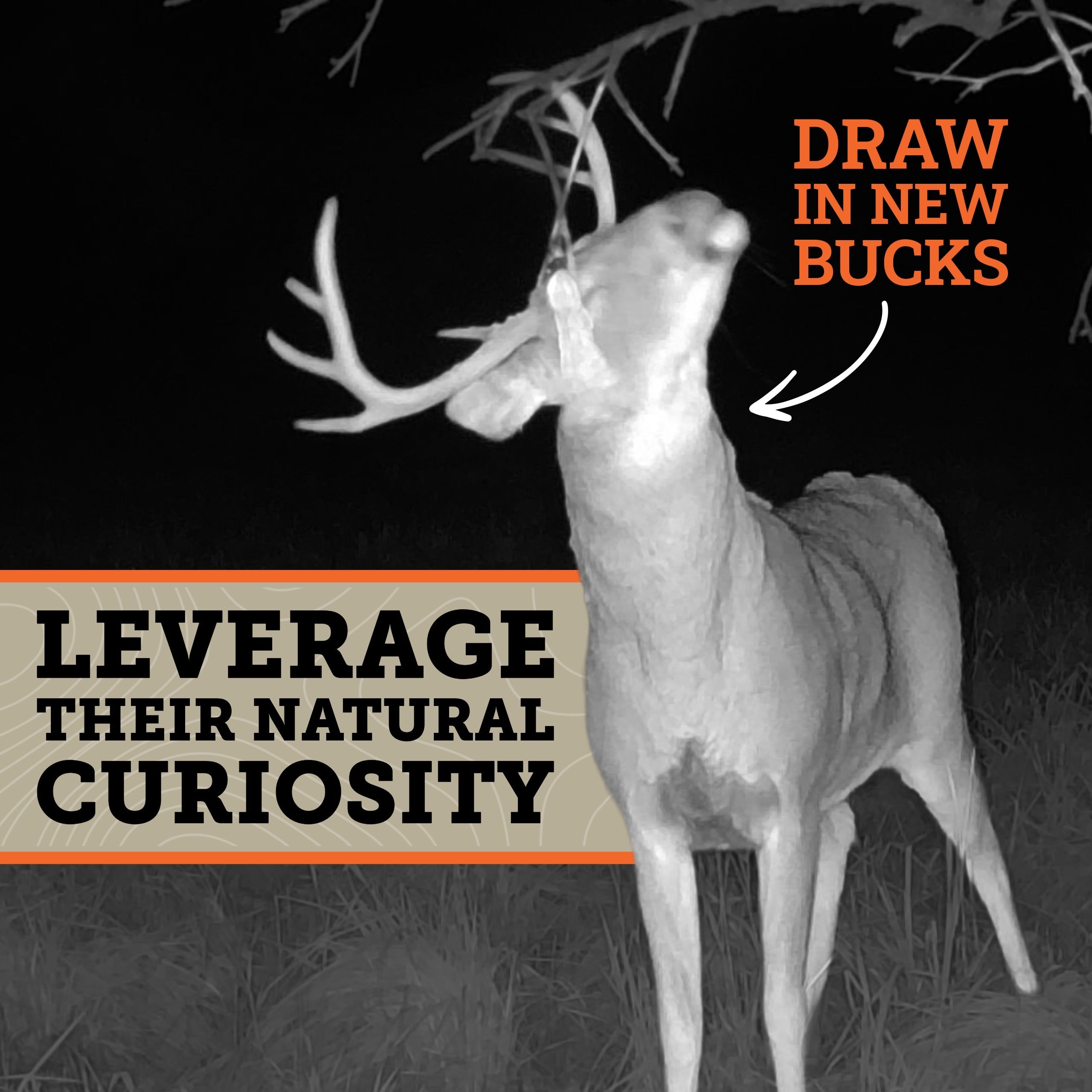 HODAG Sweet November Rut Scent